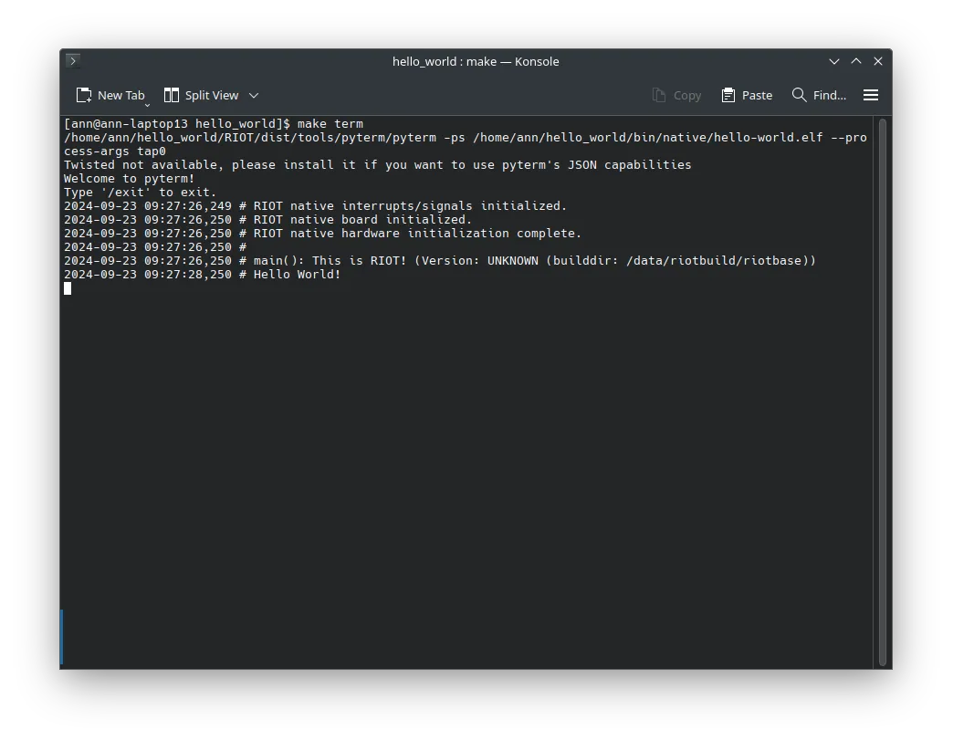 The hello world program running in the RIOT shell